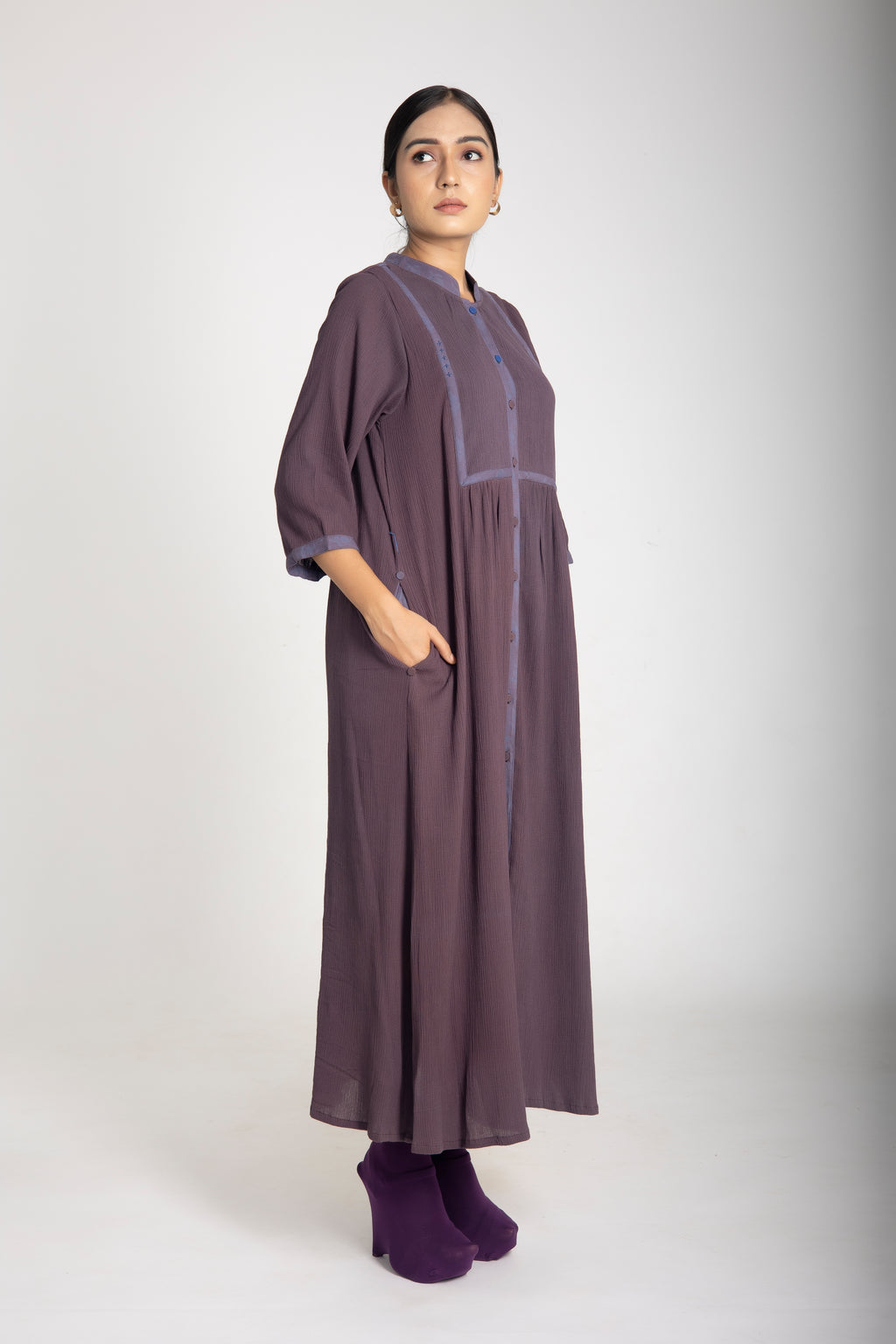 Raisin Shirt Dress