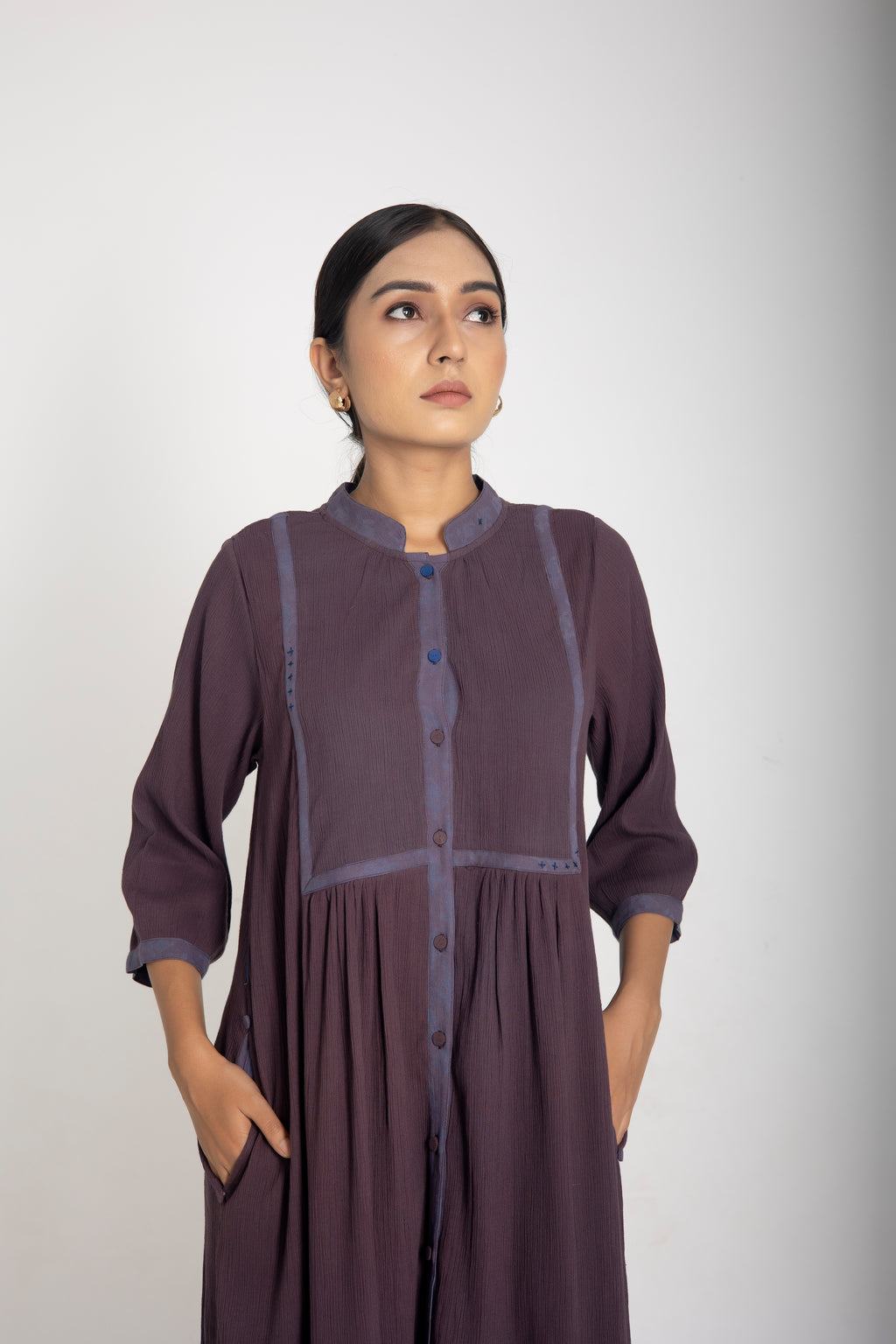 Raisin Shirt Dress